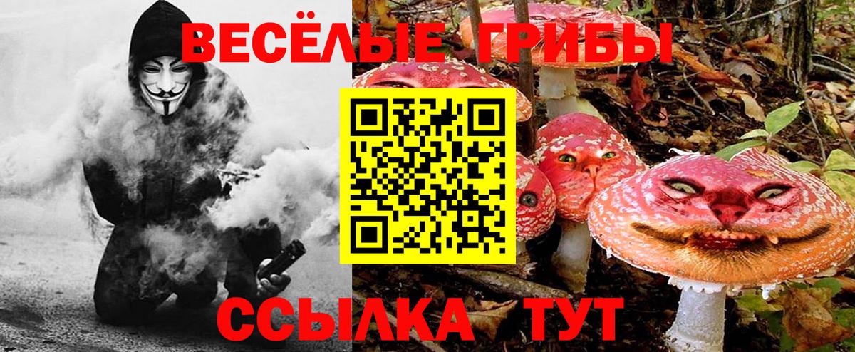 Конаково  Псилоцибиновые грибы прущие грибы  Вход с VPN 